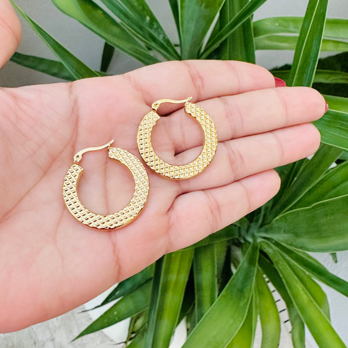 Gold Medium Earring•  Sofia Hoop